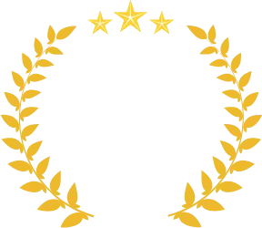 Award leaf with text: 8 years of experience